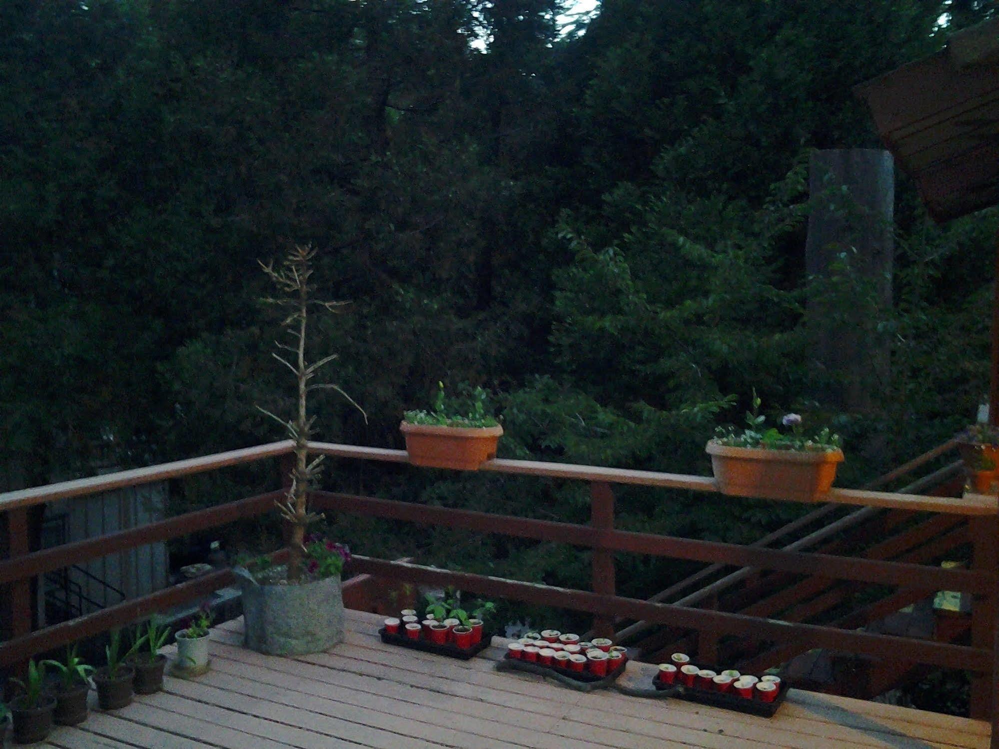 Arrowhead Mountain Inn Lake Arrowhead Zewnętrze zdjęcie